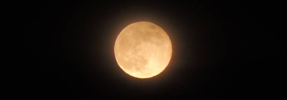 The May Full MoonThe Flower Moon