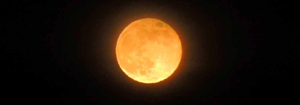The May Full MoonThe Flower Moon