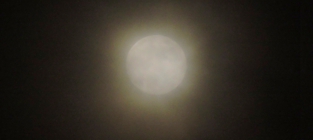 The Flower Moon
