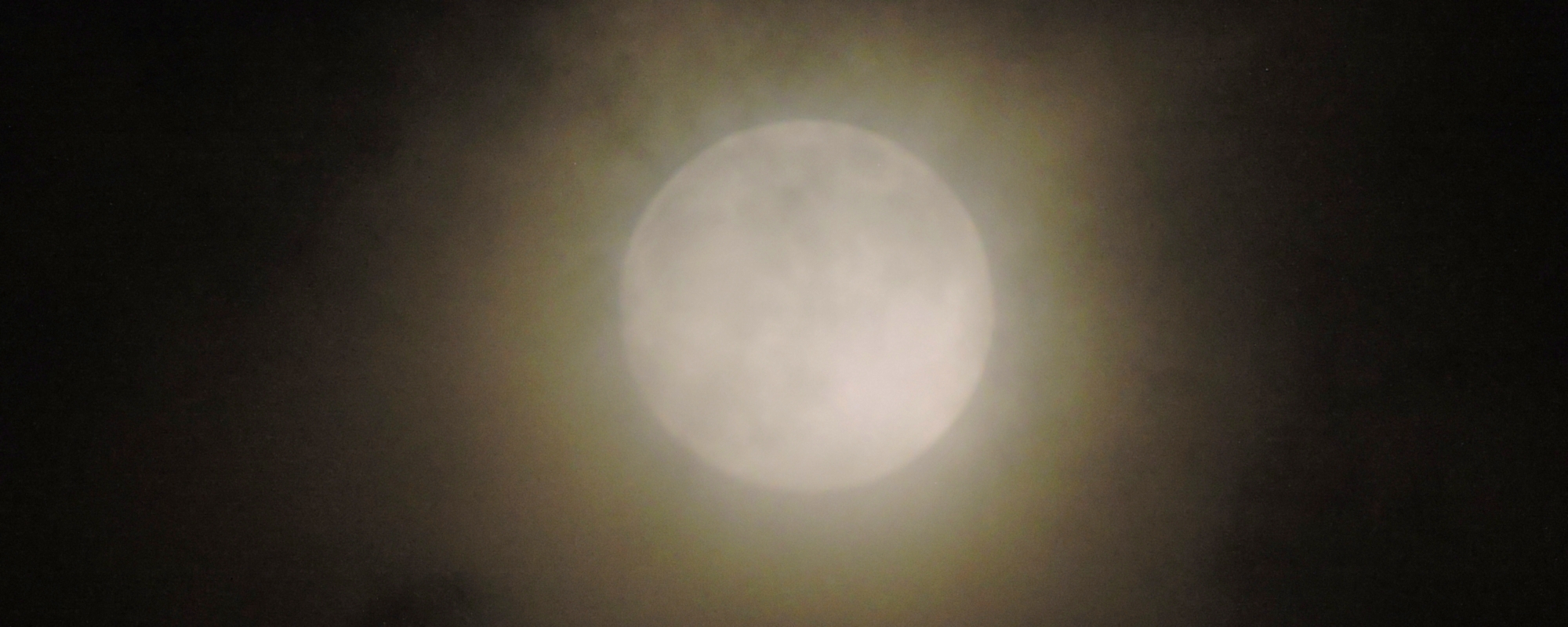 The Flower Moon