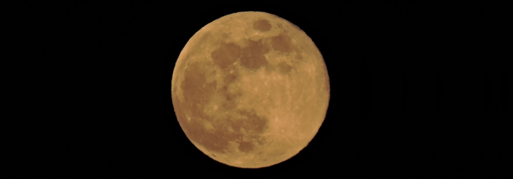 The Flower Moon