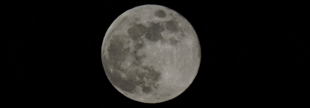 The Flower Moon