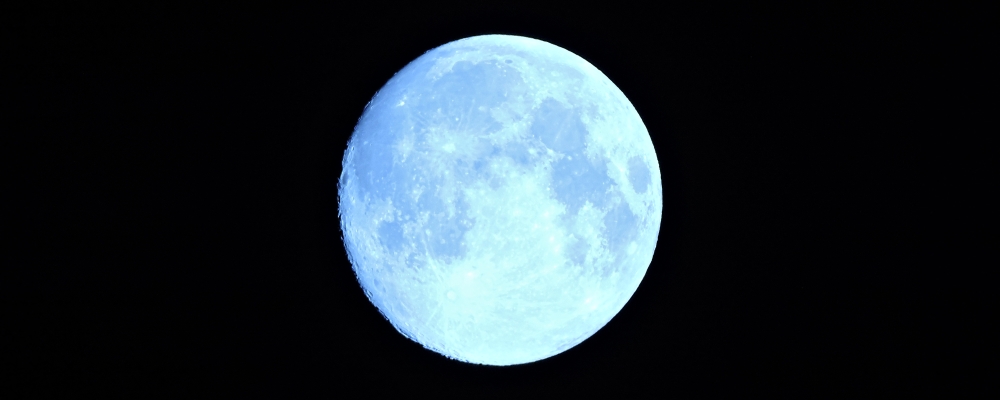 The Flower Moon
