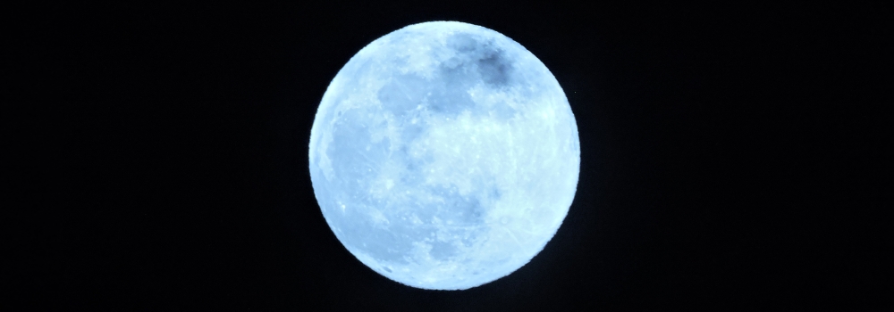 The Flower Moon