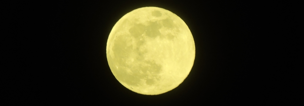 The Flower Moon