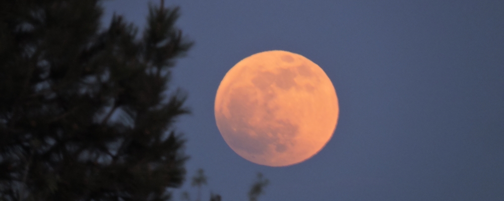 The Changing Moon2022 Journey, Flower Moon