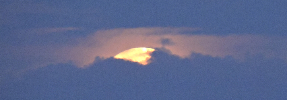 The August Full MoonThe Sturgeon Moon