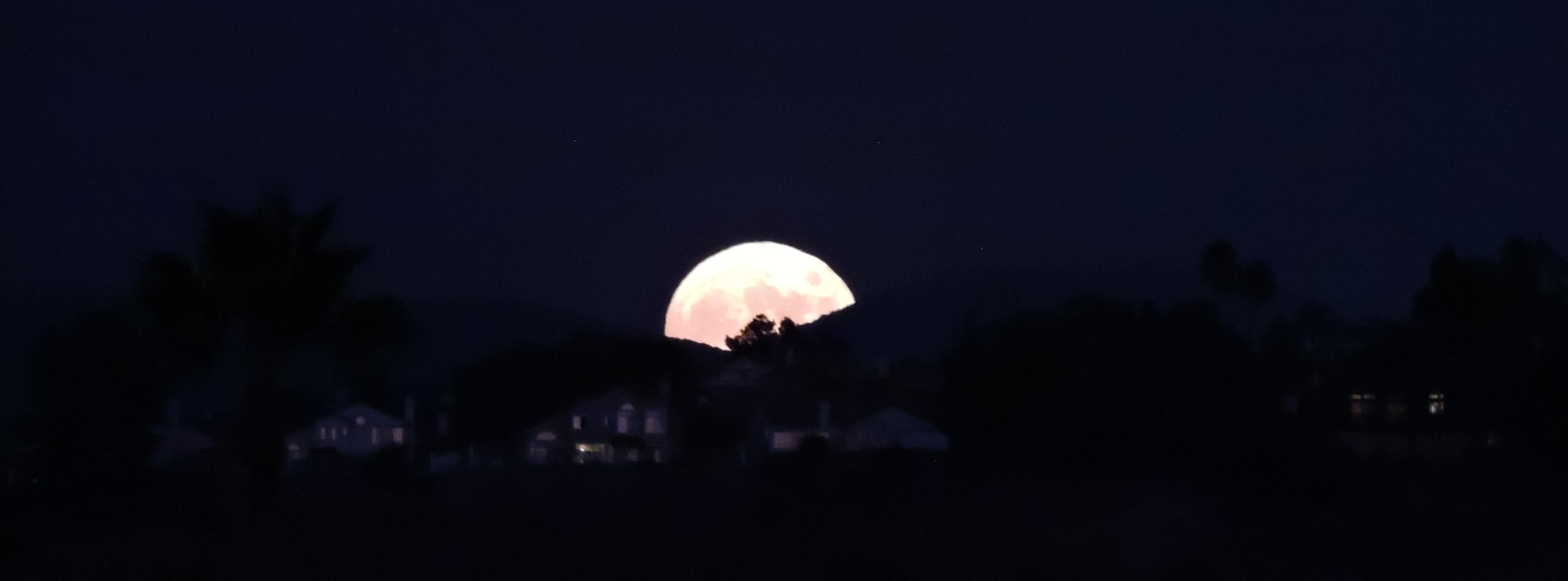 The Harvest Moon