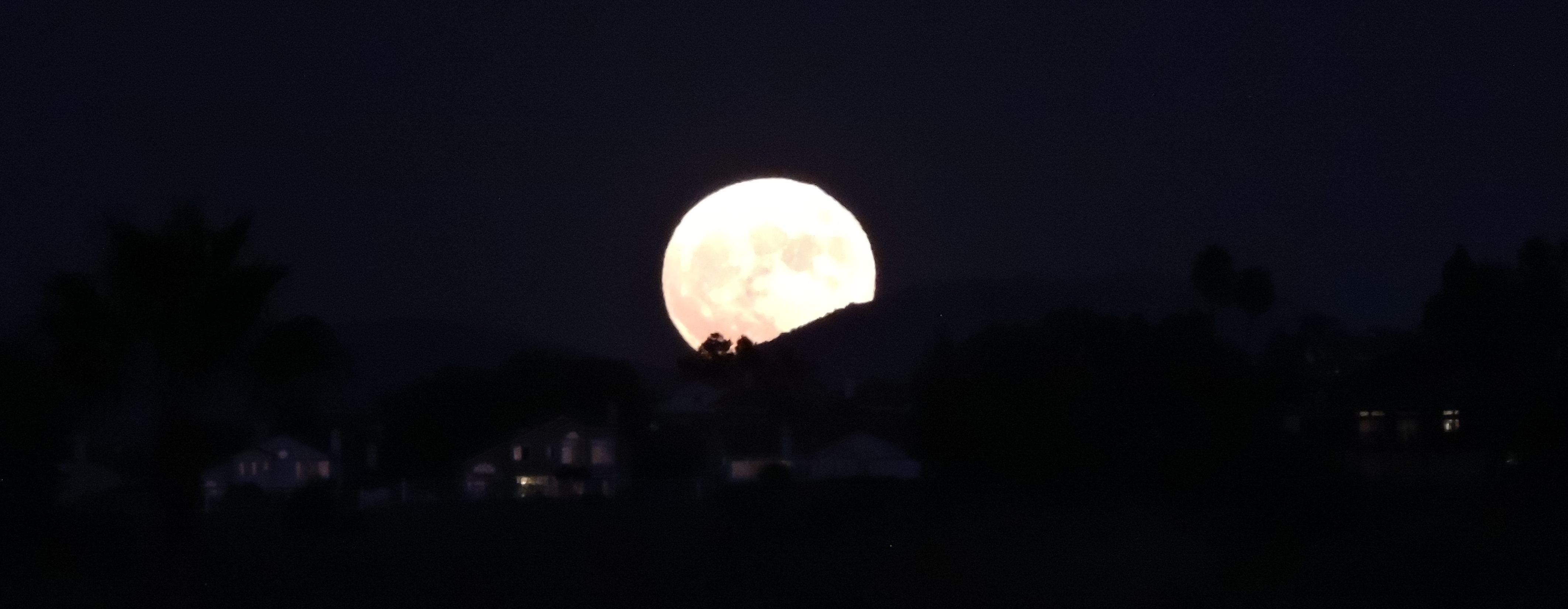 The Harvest Moon