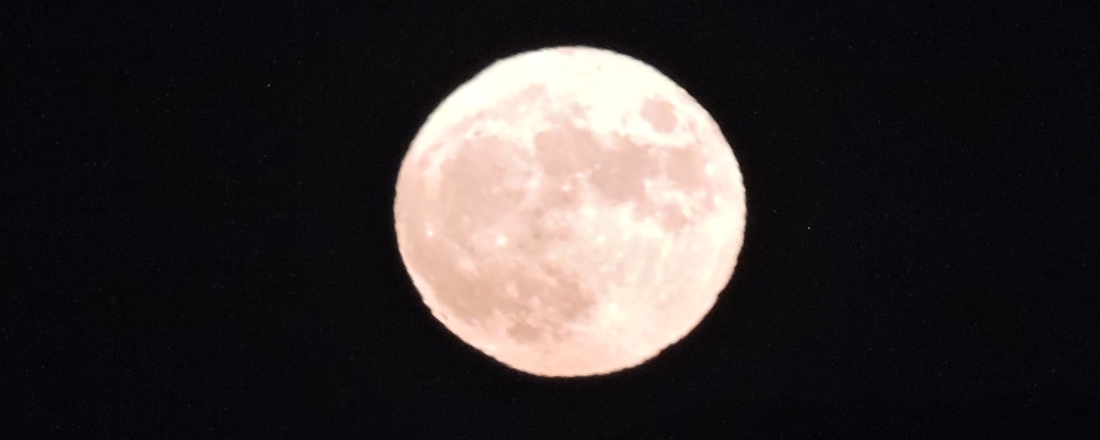 The Harvest Moon
