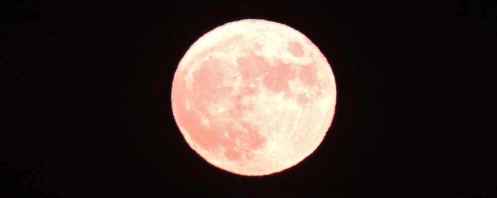The Harvest Moon