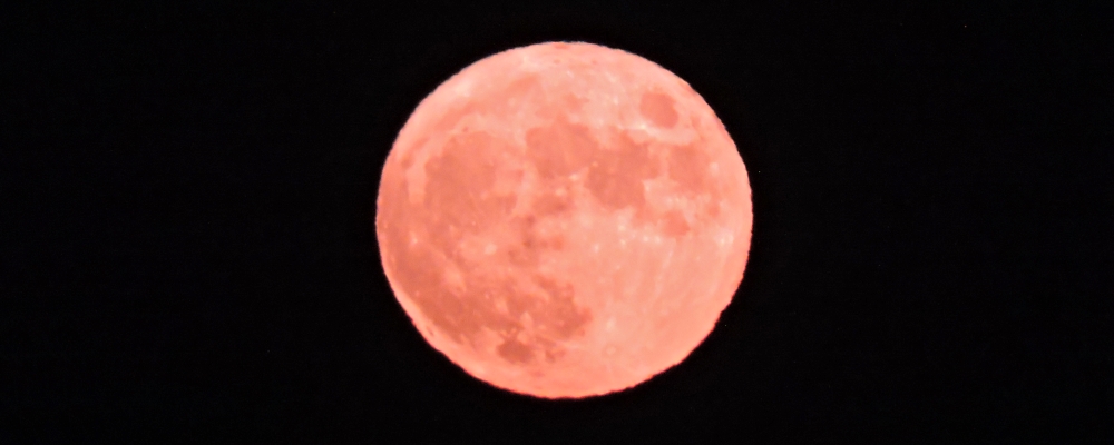 The Harvest Moon