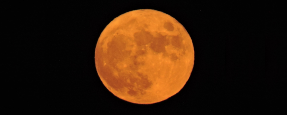 The Harvest Moon