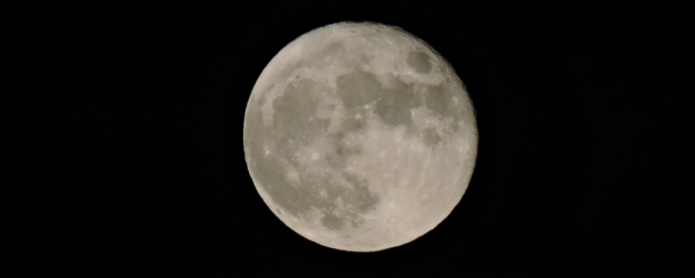 The Harvest Moon