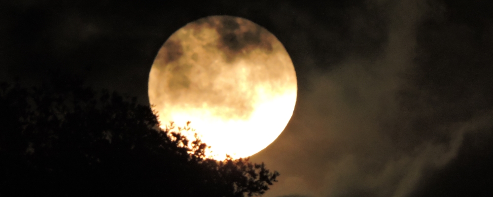 The December Full MoonThe Cold Moon