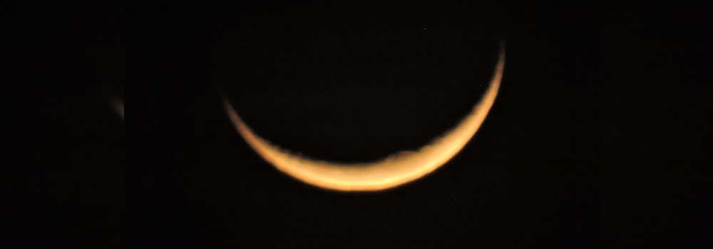 The Wet Moon