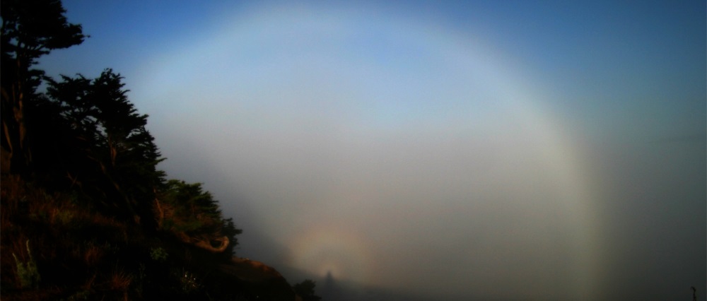 The Fogbow