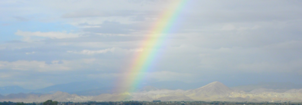 Rainbow GalleryPrimary Rainbows