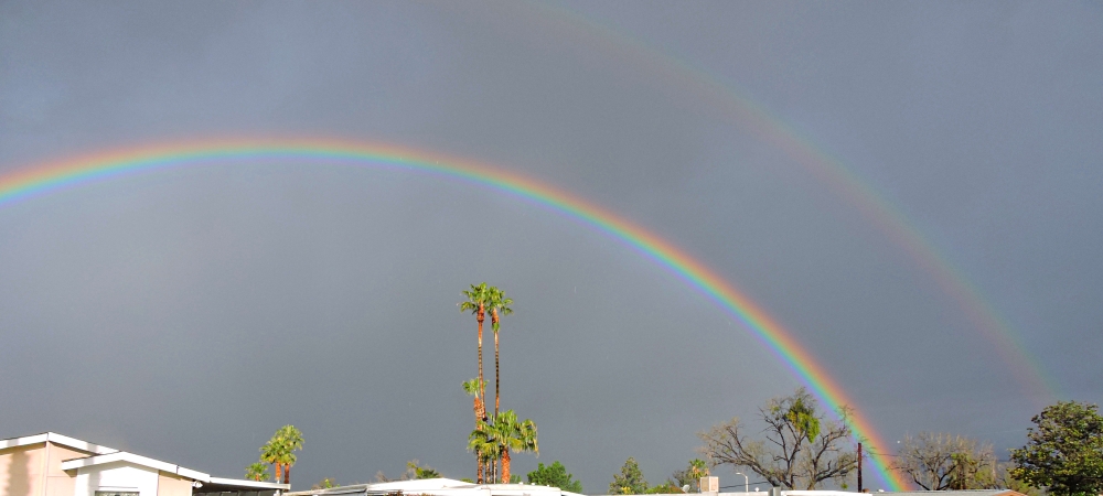 Rainbow GalleryThe Primary Rainbows