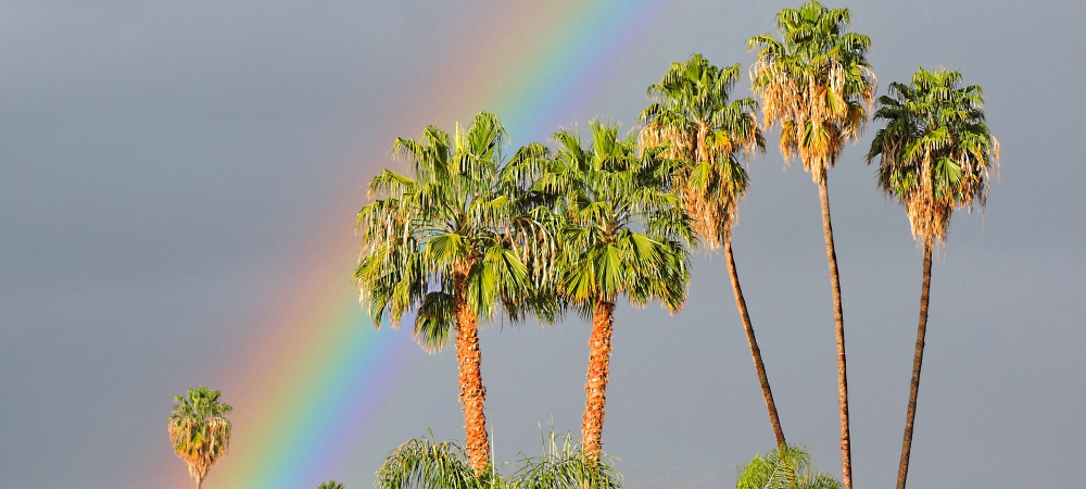 Rainbow GalleryThe Primary Rainbows