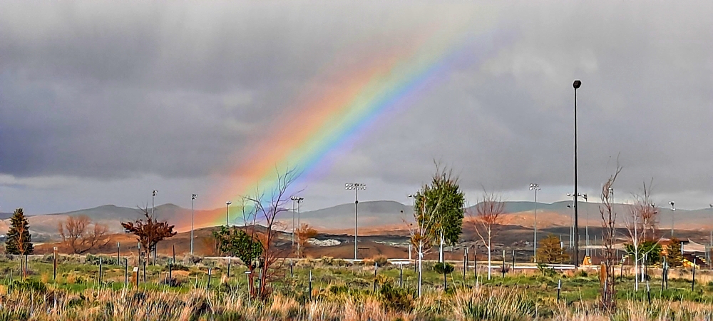 Rainbow GalleryPrimary Rainbows