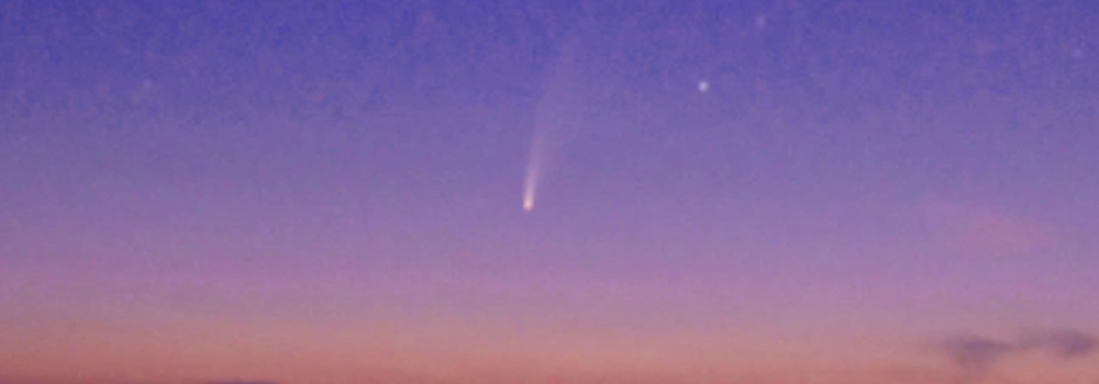 The 2019 Predictable