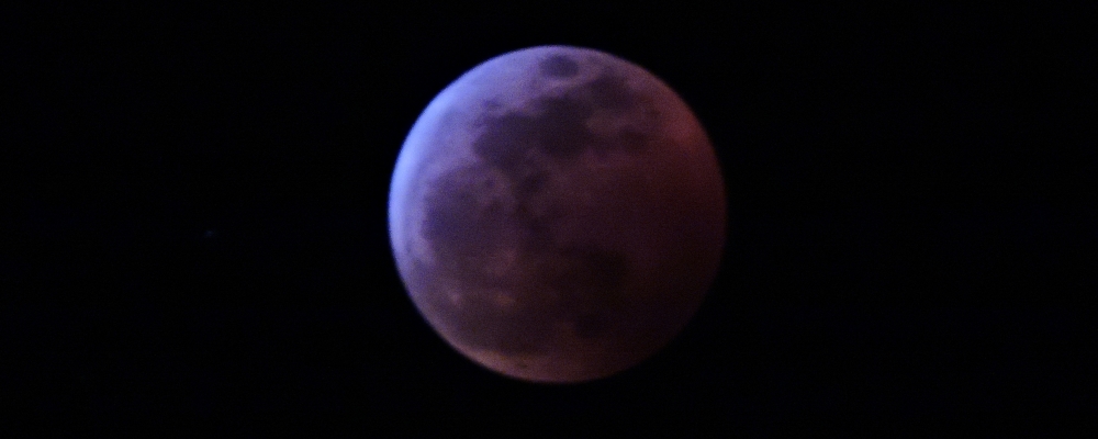 The 2019 Total Eclipse