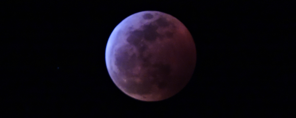 The 2019 Total Eclipse