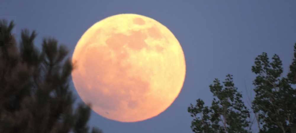 The Predictable Lunar Saros Series 131, Eclipse