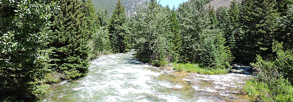 The Beartooth HighwayThe River Path
