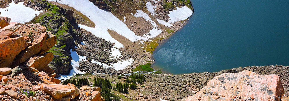 Beartooth HighwayThe Treeline Path