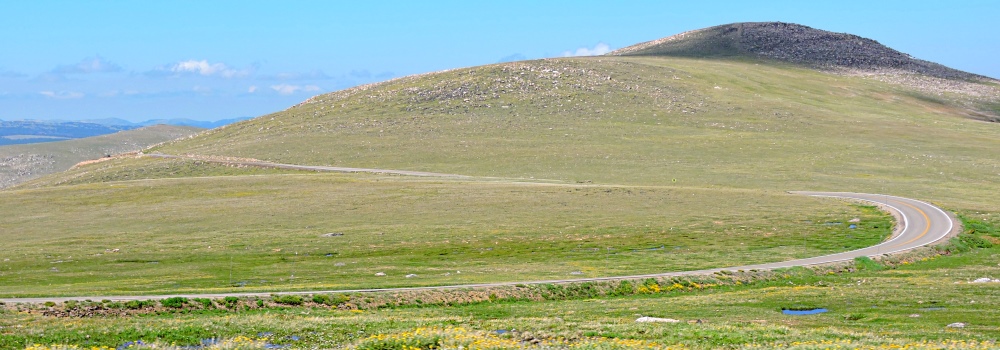 Beartooth HighwayThe Treeline Path