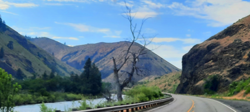 The Chinook Pass Scenic Byway,Washington