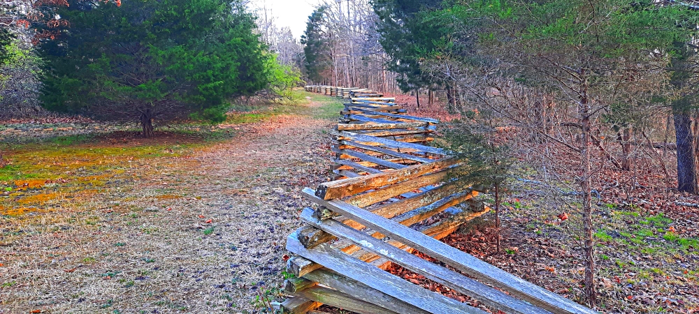 The Natchez Tracethe 2020 Journey: Tennessee