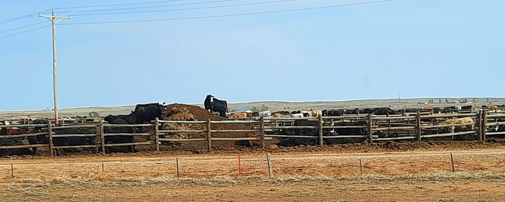 The Santa Fe Trail,Oklahoma