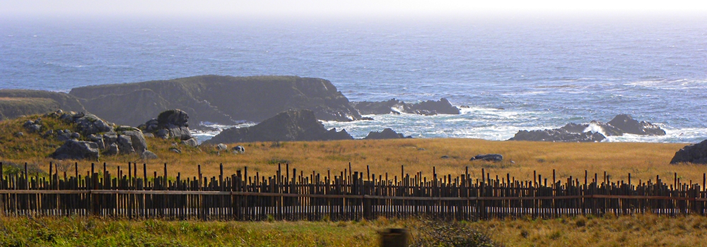 The Highway One Coastin California