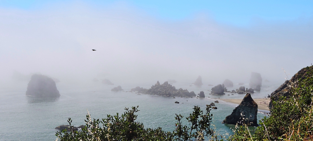 The Oregon GalleryThe South Coast