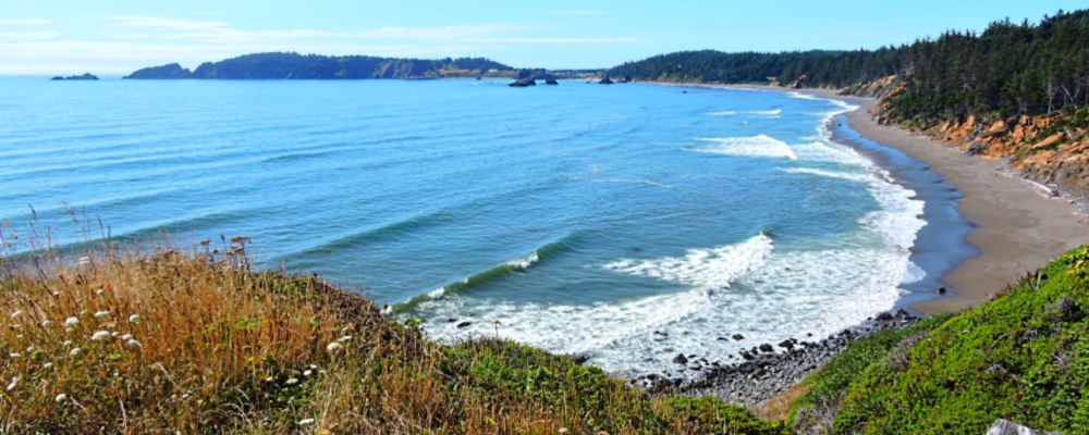 The Oregon GalleryThe South Coast
