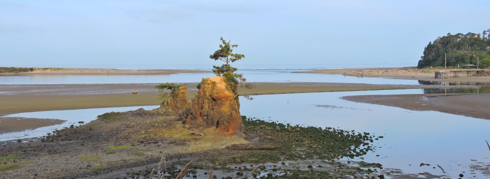 The West Coast Scenic RouteThe Oregon Gallery