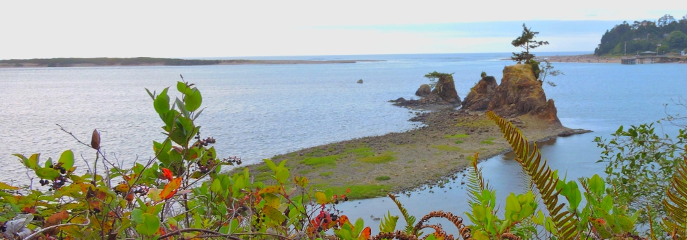 The West Coast Scenic RouteThe Oregon Gallery