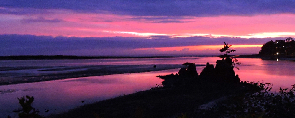 The West Coast Scenic RouteThe Oregon Gallery