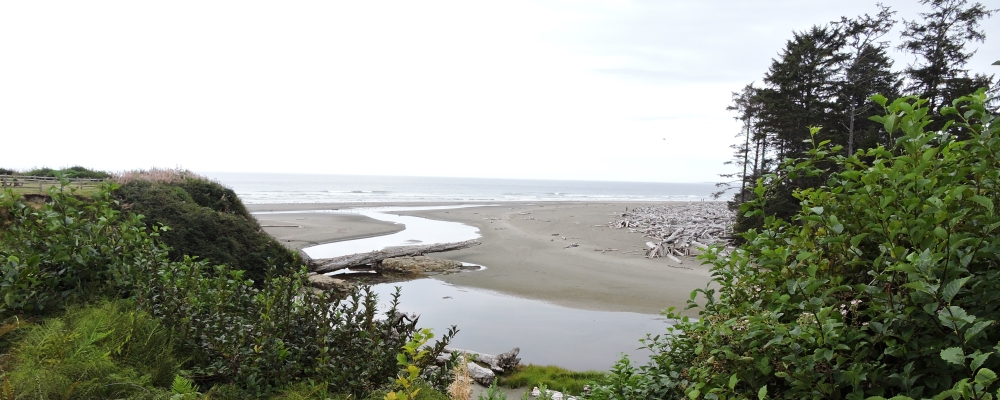 The West Coastof Washington