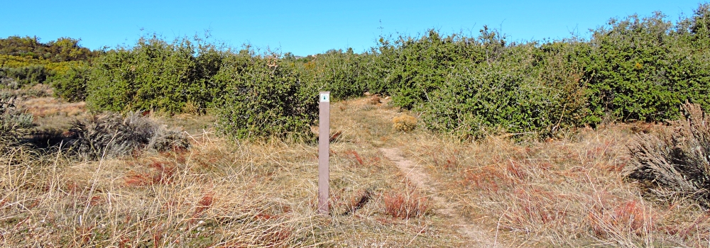 The PCT in California