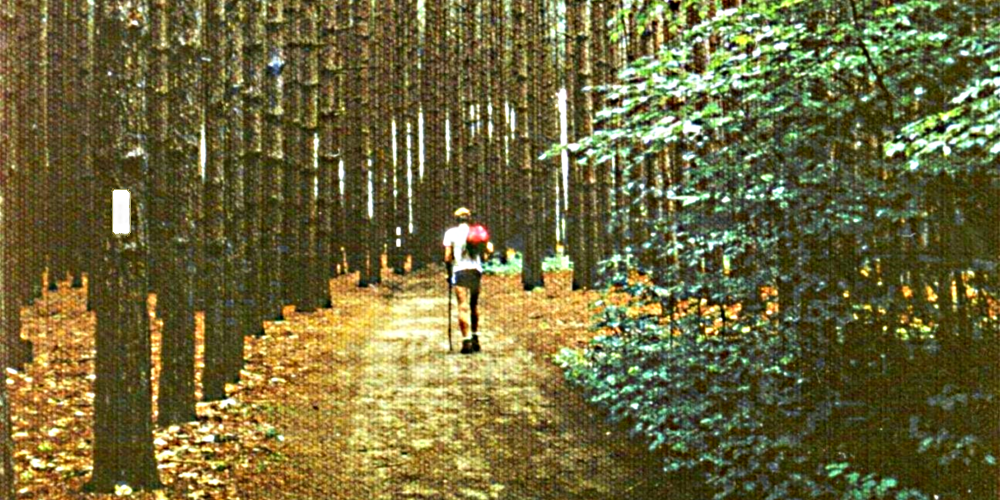 The Appalachian Trailin Connecticut