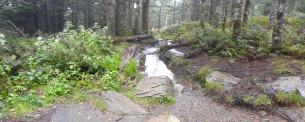 The Appalachian Trailin North Carolina-Tennessee