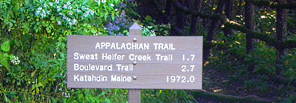 The Appalachian Trailin North Carolina-Tennessee