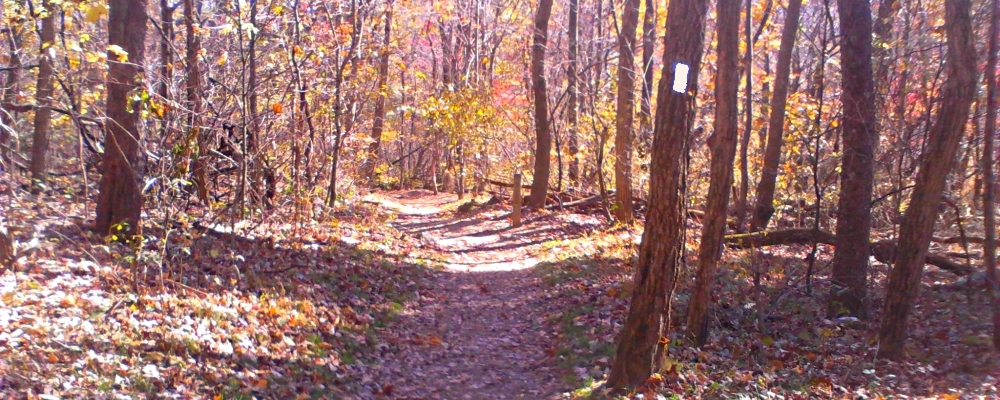 The Appalachian Trail2014 Journey, AT in Virginia