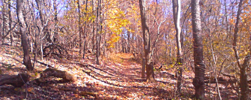 The Appalachian Trail2014 Journey, AT in Virginia