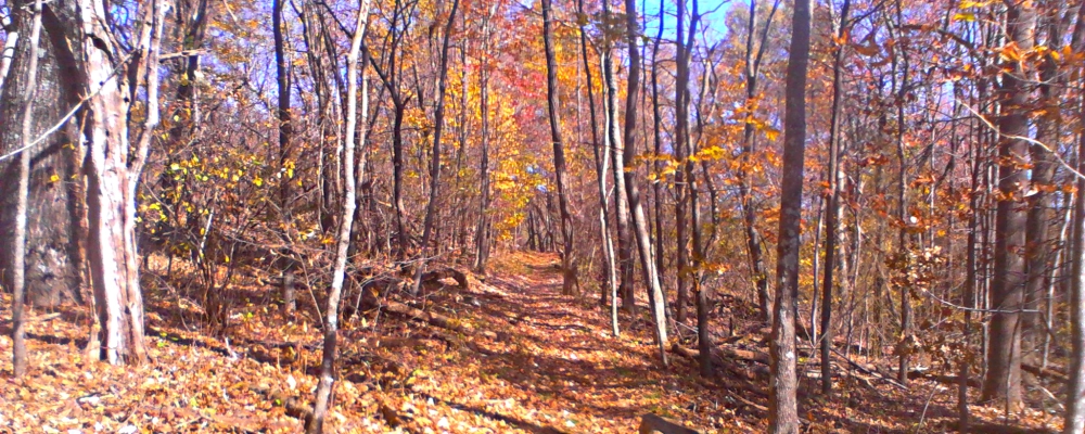 The Appalachian Trail2014 Journey, AT in Virginia