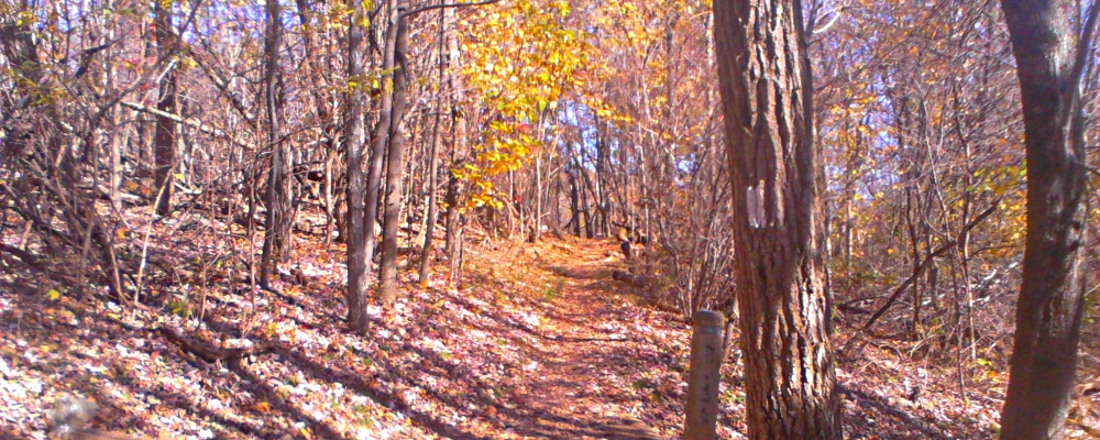 The Appalachian Trail2014 Journey, AT in Virginia